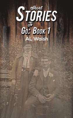 bokomslag Short Stories to Go
