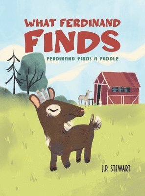 bokomslag What Ferdinand Finds