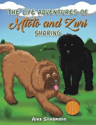 Alex Silvamann - Life Adventures of Mtoto and Zuri - Sharing, Häftad