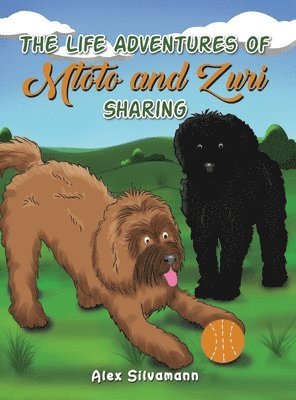 bokomslag The Life Adventures of Mtoto and Zuri - Sharing