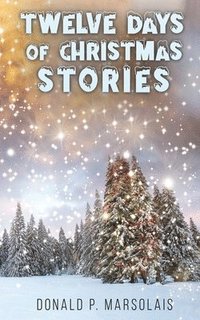 bokomslag Twelve Days Of Christmas Stories
