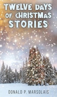 bokomslag Twelve Days Of Christmas Stories