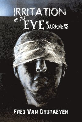 bokomslag Irritation of the Eye in Darkness