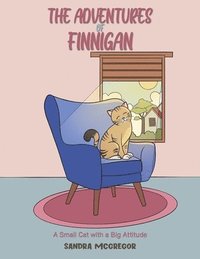 bokomslag The Adventures Of Finnigan