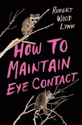 bokomslag How to Maintain Eye Contact