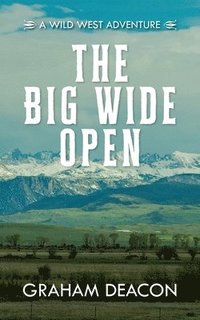 bokomslag Big Wide Open