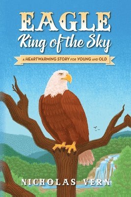 bokomslag EAGLE King of the Sky