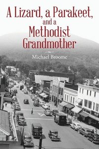 bokomslag Lizard, a Parakeet, and a Methodist Grandmother