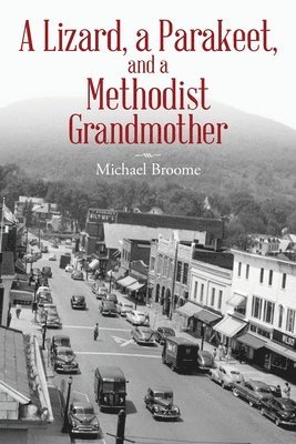 bokomslag Lizard, a Parakeet, and a Methodist Grandmother