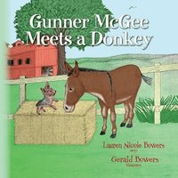 bokomslag Gunner McGee Meets a Donkey