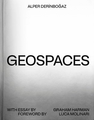 bokomslag Geospaces