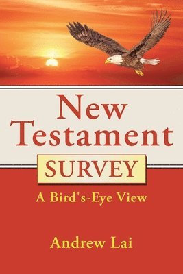 bokomslag New Testament Survey