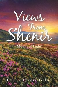 bokomslag Views From Shenir (Mount of Light)
