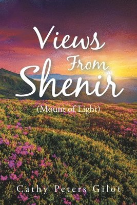 Views From Shenir (Mount of Light) 1