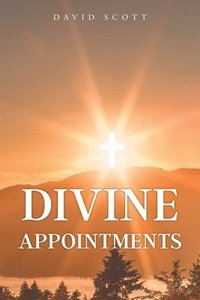 bokomslag Divine Appointments