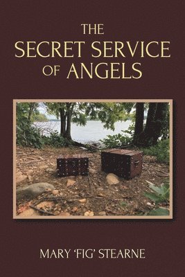 bokomslag Secret Service of Angels