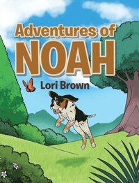 bokomslag The Adventures of Noah