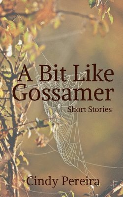 bokomslag Bit Like Gossamer