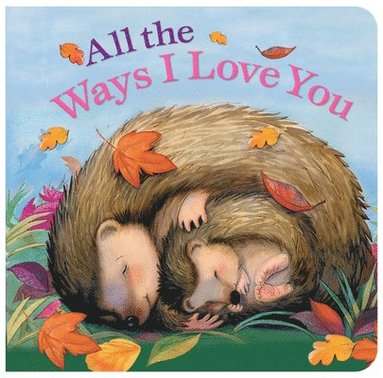 Susan Larkin - All the Ways I Love You Mini, Kartonnage