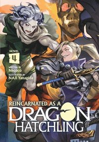 bokomslag Reincarnated as a Dragon Hatchling (Light Novel) Vol. 4