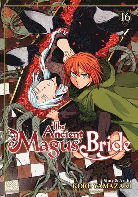 bokomslag Ancient Magus' Bride Vol. 16