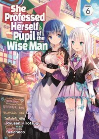 bokomslag She Professed Herself Pupil of the Wise Man (Light Novel) Vol. 6