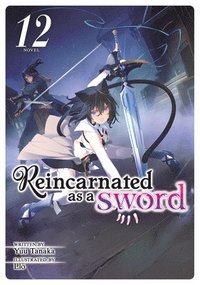 bokomslag Reincarnated as a Sword (Light Novel) Vol. 12