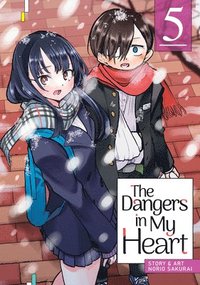 bokomslag Dangers in My Heart Vol. 5