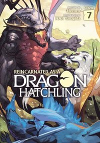 bokomslag Reincarnated as a Dragon Hatchling (Light Novel) Vol. 7