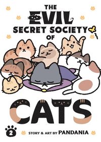 bokomslag The Evil Secret Society of Cats Vol. 2