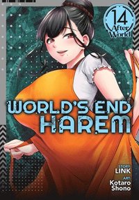 bokomslag World's End Harem Vol. 14 - After World
