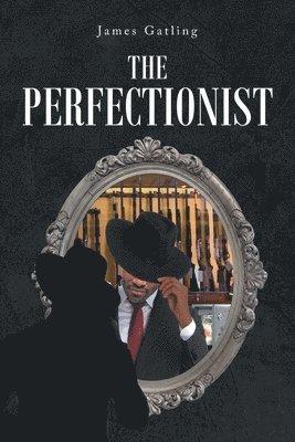 bokomslag The Perfectionist