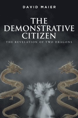 David Maier, Maier,David, - Demonstrative Citizen, Häftad