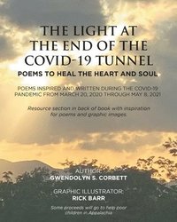 bokomslag Light At The End Of The Covid-19 Tunnel