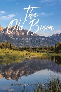 bokomslag The Old Bison