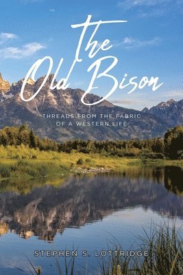 The Old Bison 1