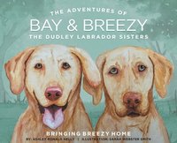 bokomslag Adventures of Bay and Breezy