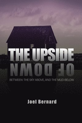 bokomslag The Upside of Down: Between: The Sky Above, and the Mud Below