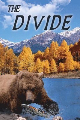 The Divide 1