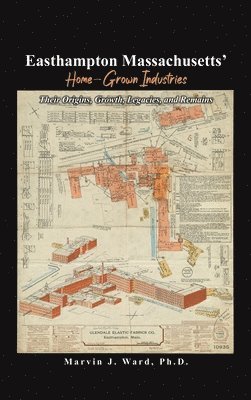 bokomslag Easthampton Massachusetts' Home-Grown Industries: Their Origins, Growth, Legacies, and Remains