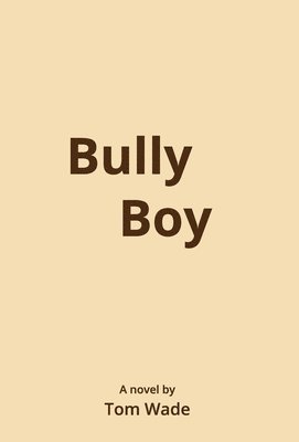 bokomslag Bully Boy