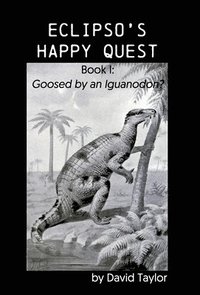 bokomslag Eclipso's Happy Quest