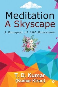 bokomslag Meditation a Skyscape