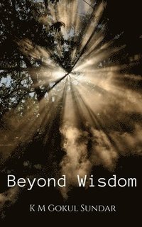 bokomslag Beyond Wisdom