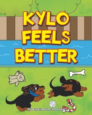 Kylo Feels Better 1