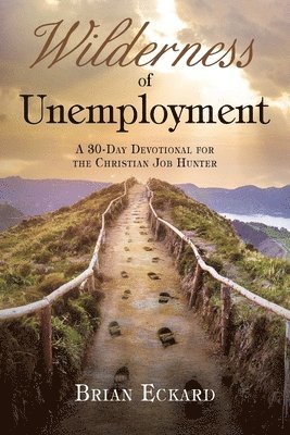 bokomslag Wilderness of Unemployment