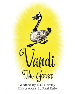 bokomslag Vandi The Goose