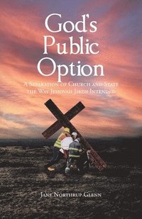 bokomslag God's Public Option