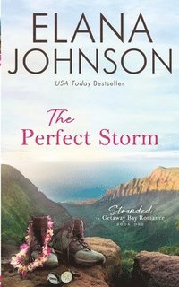 bokomslag The Perfect Storm