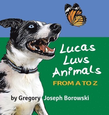 bokomslag Lucas Luvs Animals from A to Z